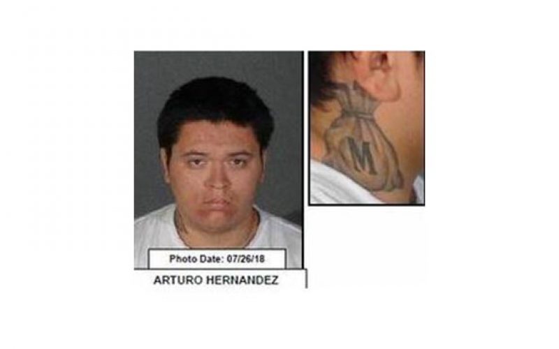 Burglary-Robbery Task Force Arrests Four “Knock-Knock” Suspects, Asks “Were You A Victim Too?”