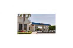 Six Arrested For Violent Brawl at Motel 6