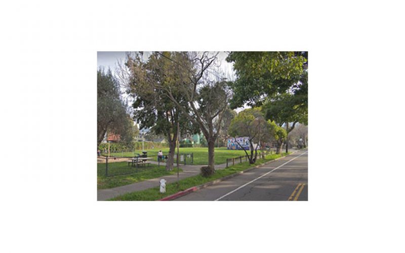 Artist Accused of Machete Slashing near Children’s Playground