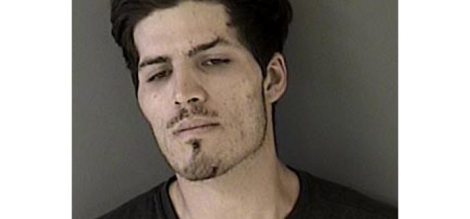 Domestic Violence Call, Vehicle Pursuit, Nye’s Arrest