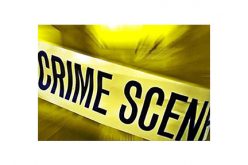 Calexico Agents Arrest MS-13 Gang Member