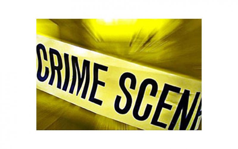 Calexico Agents Arrest MS-13 Gang Member