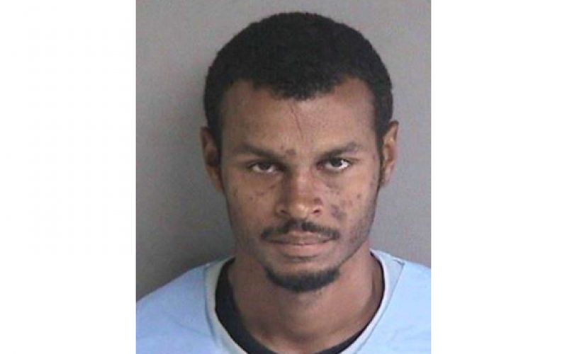 Carjacking Suspect Caught with Help from GPS, Drones and Police Dog
