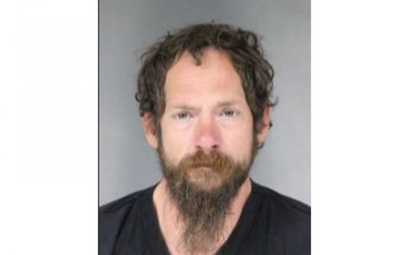 Swan the Vandal Now Perched in Jail After Eureka Spree