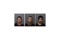 Burglary Trio Nabbed After SWAT Sets Up