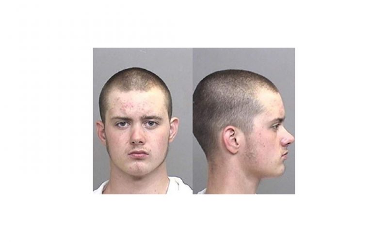 Mendocino son attacks father with shovel, then gun