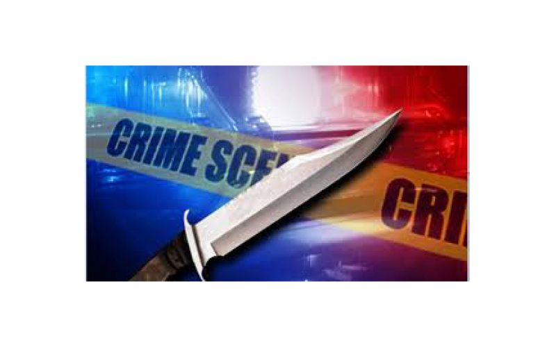Witnesses and Cameras Lead Police to Arrest Murder Suspect