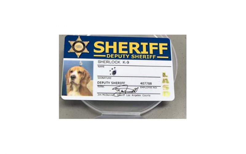 K-9 Sherlock Strikes Twice In One Week  –  Thwarts Jail Drug Smuggling Schemes