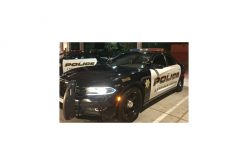 Vehicle Code Violation by Driver with Assault Weapon