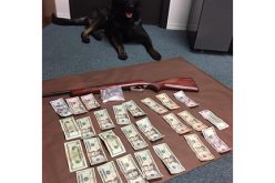 Pair arrested on drug charges after stop at Walmart