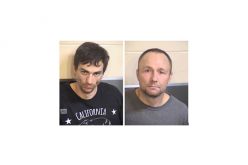 Divided They Fall, as pair is arrested for thievery
