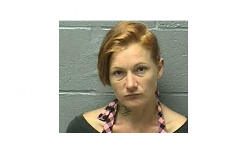 Resident Disrupts Garage Thieves, Apprehends One