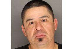 Stalker Nailed by K9, goes to Hospital then to Jail