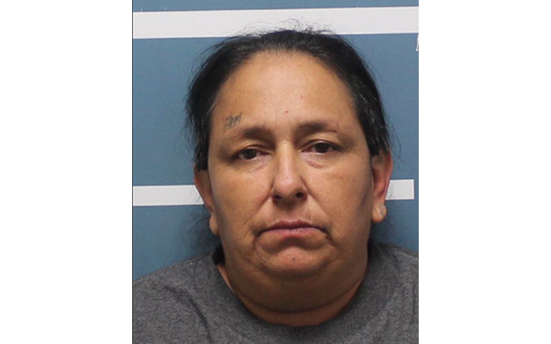 Two Women Arrested for Attempting to Mail Drugs into Detention Facility