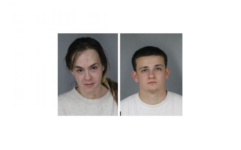 Shooting Rats from the Roof, and Parking Lot Search Warrant