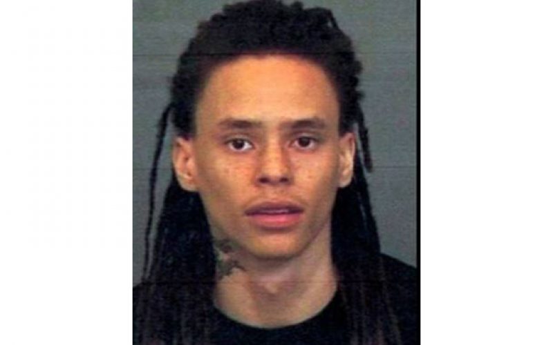 Traffic Stop Yields Arrest of Driver on Suspicion of Human Trafficking