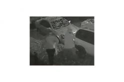 San Jose Police are looking for two homicide suspects