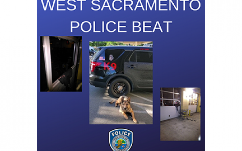Man tries to burglarize auto store, K-9 Diesel and cops stop him