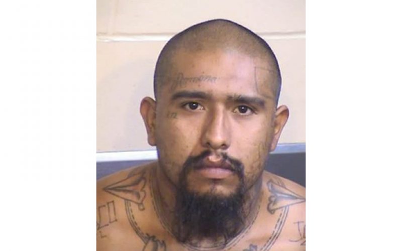 Suspect Crashes Head On with Patrol Car In An Attempt to Avoid Capture