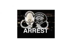 Police Cars Rammed in Wrong-Way Freeway Pursuit