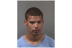 Suspect Arrested for Attack and Robbery at Berkeley Public Library