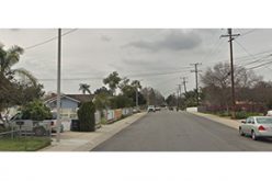 Woman and Dog Die After Officer Involved Shooting
