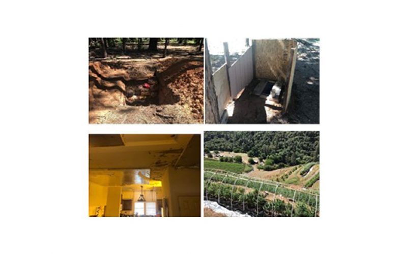 Two search warrants net 4151 marijuana plants and 43 pounds of processed weed