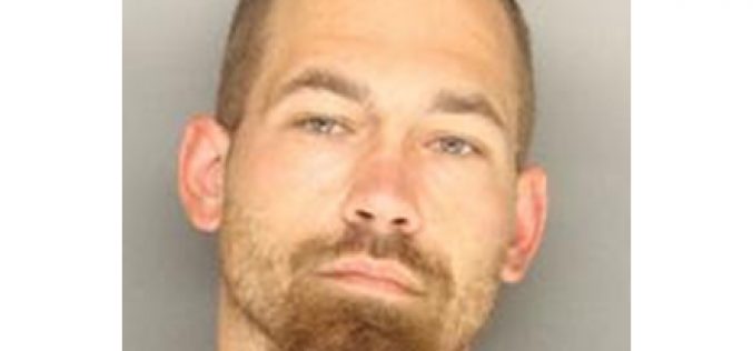 Illegal Camper Busted with Drugs, Weapons…and Bird Parts