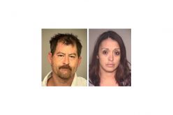 Theft of Bulldozer Leads to Arrests