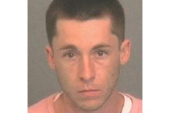 Professional Cannabis Trimmer Arrested on Suspicion of Drug Dealing