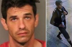 Police: Sexual assault charges filed against Gridley man