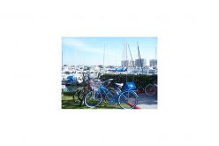 Three Bike Thieves Arrested in Coronado