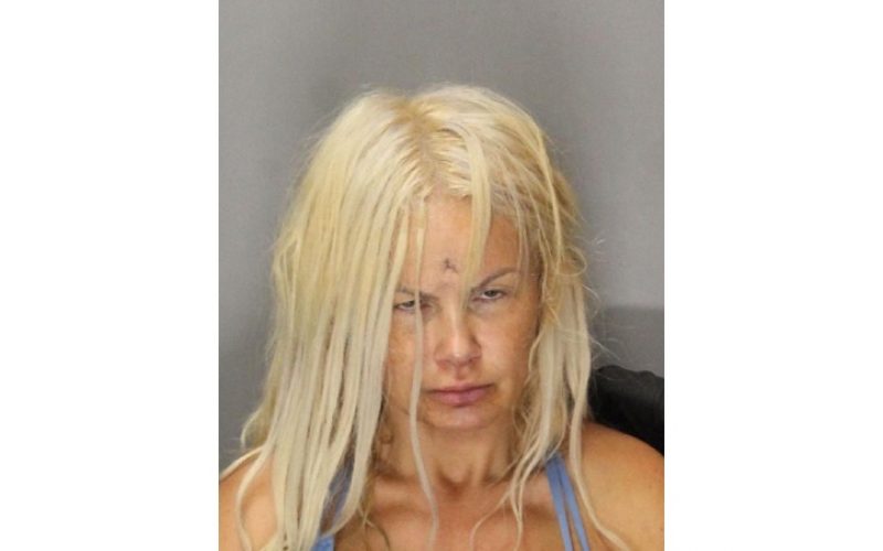 Woman Arrested After Trespassing Call Escalates To Struggle Over Officer’s Rifle