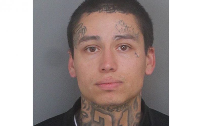 Suspect Arrested for Stabbing Two Men at Two Ontario Parks