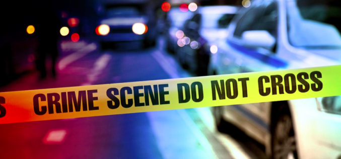 Multi-Agency Operation leads to Seizure of Weapons and Narcotics