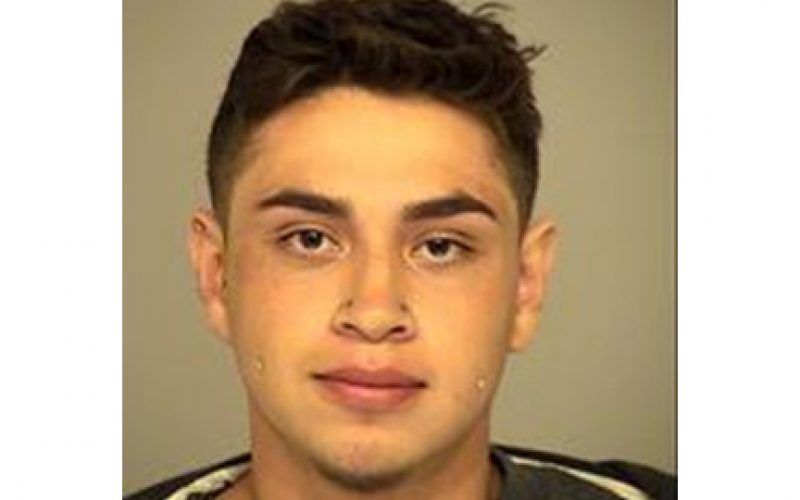 Hit-and-run Car Thieves Charged with ADW
