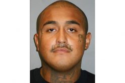 $2 million Bail for Alleged Gangster-Killer