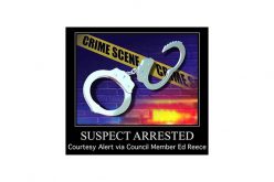 Sneaky Smash & Grab:  Group Steals Choice Sneakers, Two Arrested