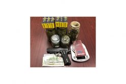 Two Teens Arrested for Drugs Sales and More