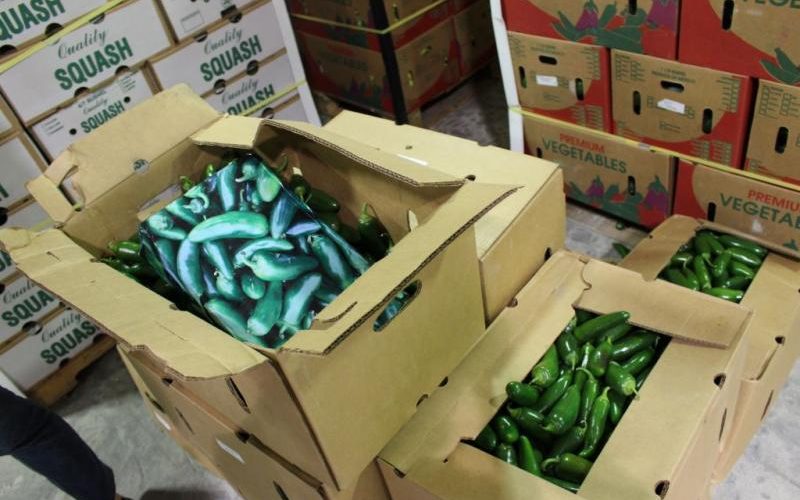 CBP confiscates marijuana found in shipments of jalapeño peppers