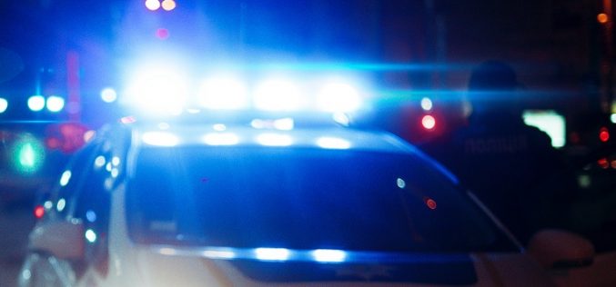 Police: Man leads pursuit in stolen vehicle, flees into woods on foot