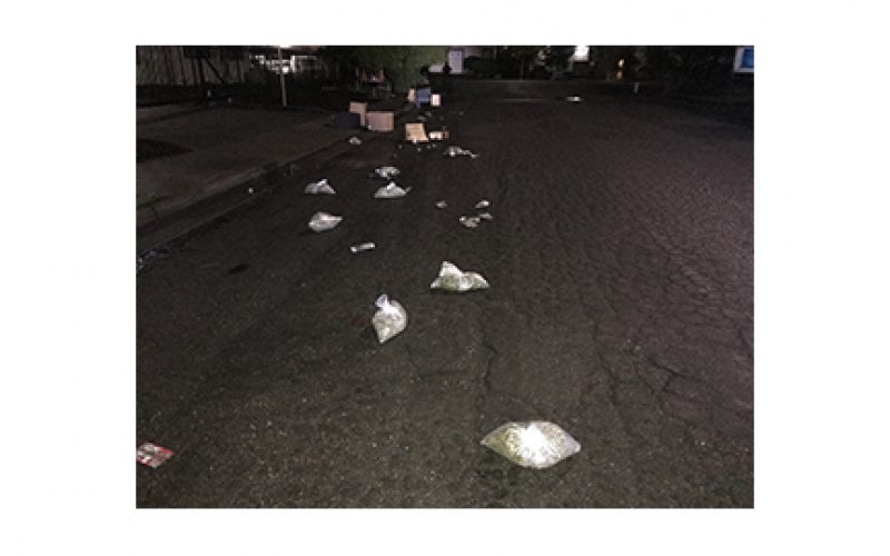 Marijuana Business Burglary and Vehicle Pursuit