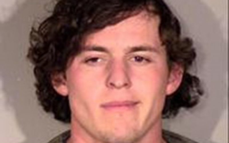 Mexican National Busted with Meth and Firearm
