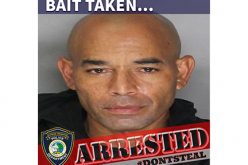 Once again, the bait is taken in Citrus Heights