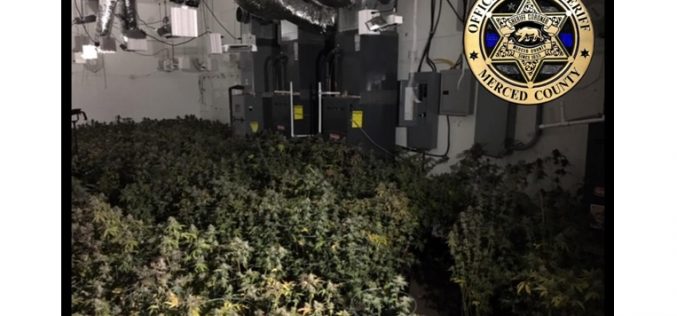 Two arrested in burglary, officer-involved shooting at marijuana grow