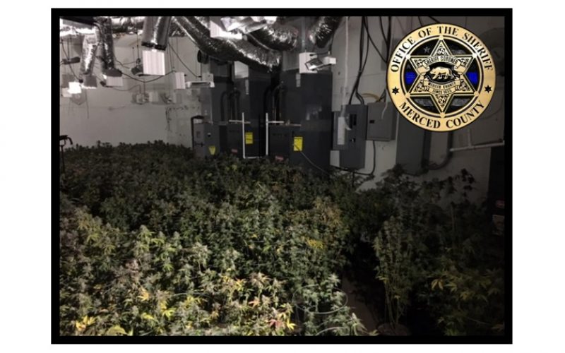 Two arrested in burglary, officer-involved shooting at marijuana grow