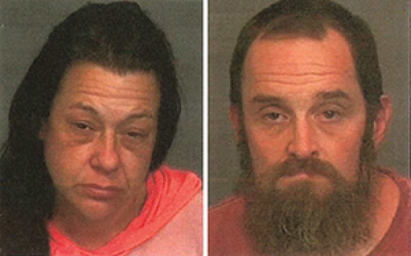 House Sitters Allegedly Steal $22,000 Worth of Property while Owner is Away