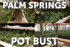 2 New Yorkers Arrested for For Illegal Cannabis Business in Palm Springs