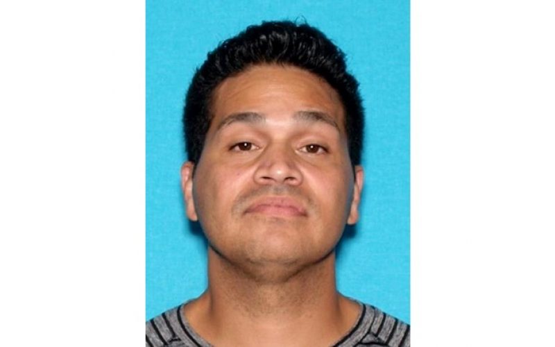 Domestic battery suspect arrested after police stand-off