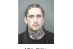 Man arrested after colliding with Chico PD vehicle